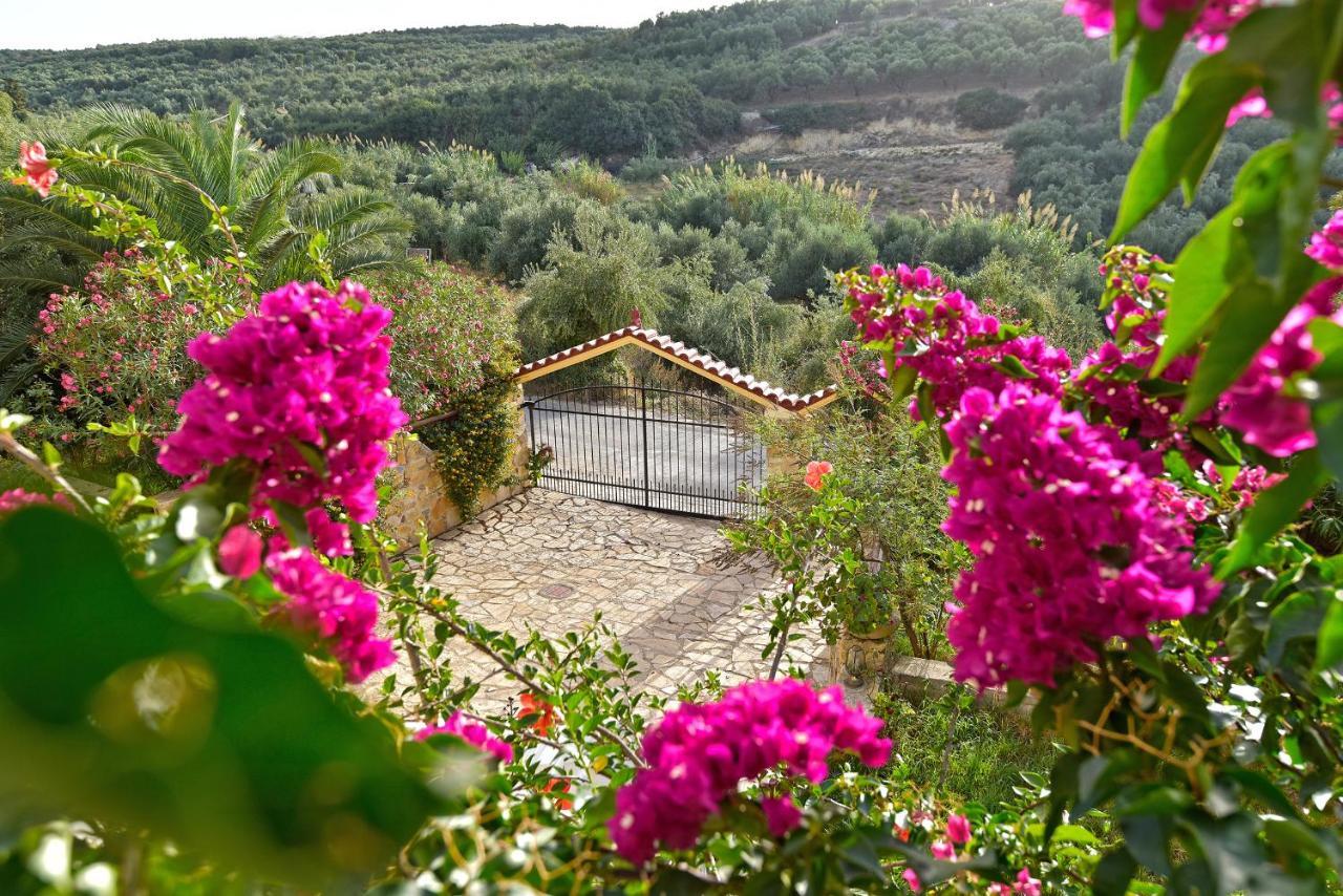 Olive Farm Villa Agia Marina Exterior foto