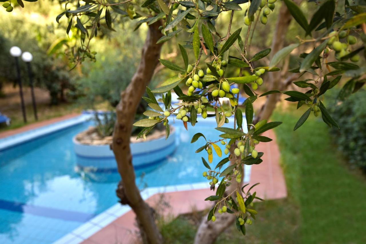 Olive Farm Villa Agia Marina Exterior foto