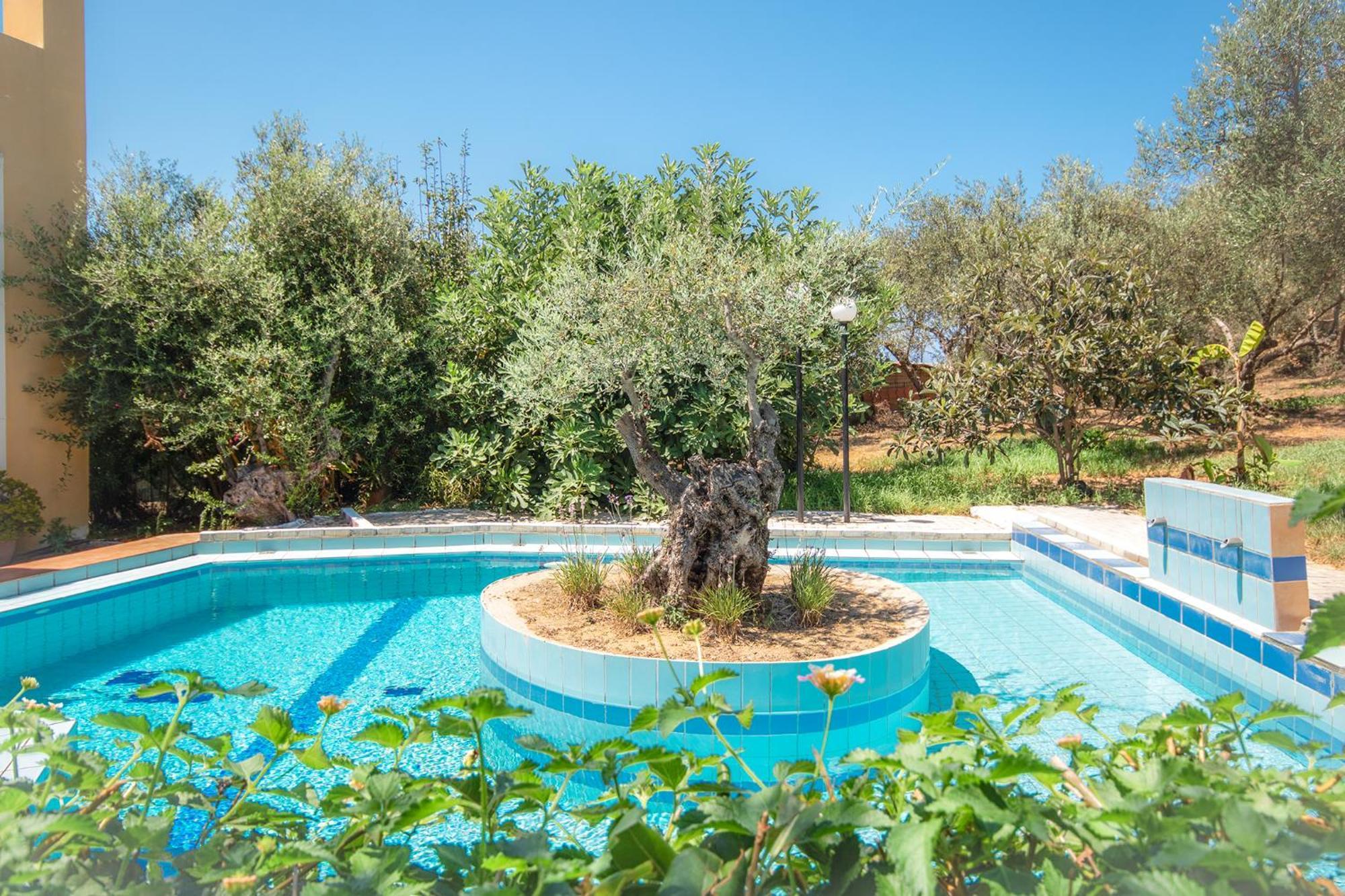 Olive Farm Villa Agia Marina Exterior foto