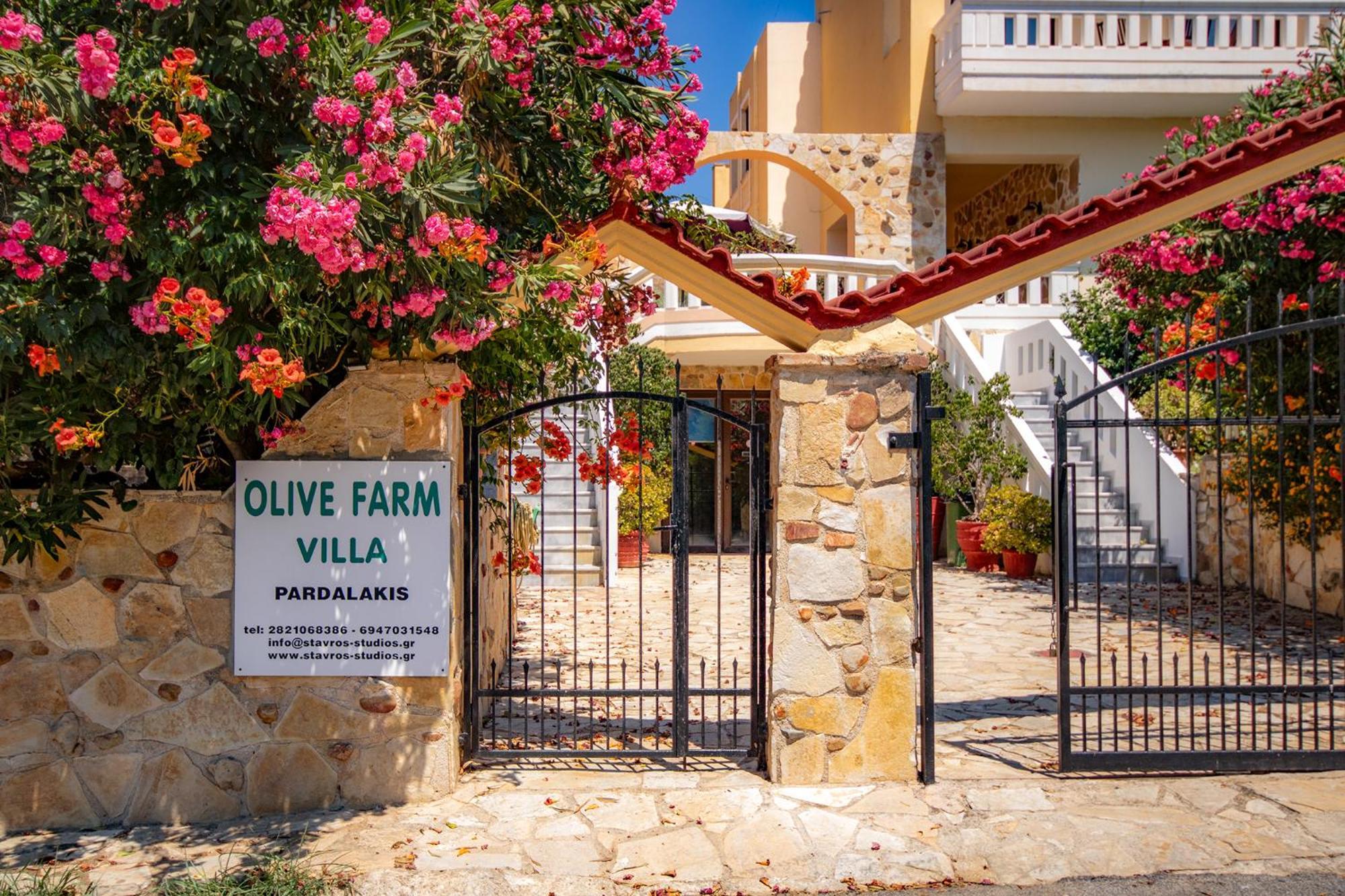 Olive Farm Villa Agia Marina Exterior foto